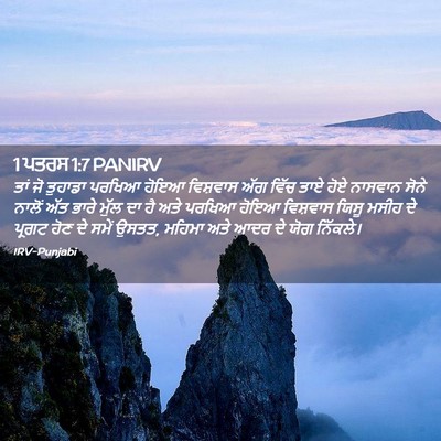 Picture 02 - 1 ਪਤਰਸ 1:7 PANIRV - ਤਾਂ ਜੋ ਤੁਹਾਡਾ - Bible Verse Picture
