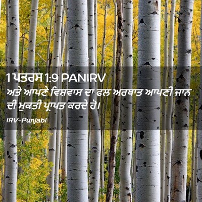 Picture 02 - 1 ਪਤਰਸ 1:9 PANIRV - ਅਤੇ ਆਪਣੇ ਵਿਸ਼ਵਾਸ - Bible Verse Picture