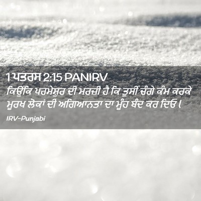Picture 02 - 1 ਪਤਰਸ 2:15 PANIRV - ਕਿਉਂਕਿ ਪਰਮੇਸ਼ੁਰ - Bible Verse Picture
