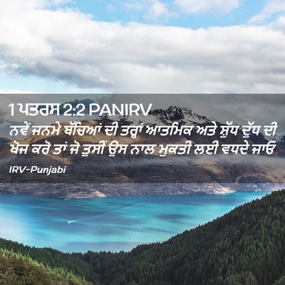 Picture 02 - 1 ਪਤਰਸ 2:2 PANIRV - ਨਵੇਂ ਜਨਮੇ ਬੱਚਿਆਂ - Bible Verse Picture