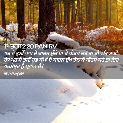 Picture 02 - 1 ਪਤਰਸ 2:20 PANIRV - ਪਰ ਜੇ ਤੁਸੀਂ ਪਾਪ ਦੇ - Bible Verse Picture