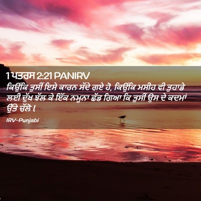 Picture 02 - 1 ਪਤਰਸ 2:21 PANIRV - ਕਿਉਂਕਿ ਤੁਸੀਂ ਇਸੇ - Bible Verse Picture