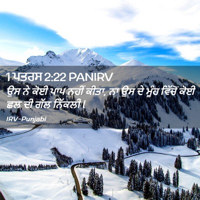 Picture 02 - 1 ਪਤਰਸ 2:22 PANIRV - ਉਸ ਨੇ ਕੋਈ ਪਾਪ ਨਹੀਂ - Bible Verse Picture