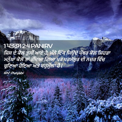 Picture 02 - 1 ਪਤਰਸ 2:4 PANIRV - ਜਿਸ ਦੇ ਕੋਲ ਤੁਸੀਂ ਆਏ - Bible Verse Picture