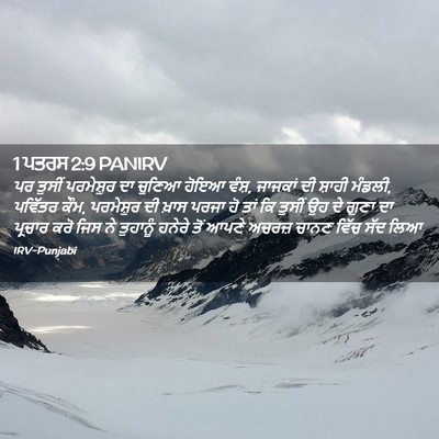 Picture 02 - 1 ਪਤਰਸ 2:9 PANIRV - ਪਰ ਤੁਸੀਂ ਪਰਮੇਸ਼ੁਰ - Bible Verse Picture