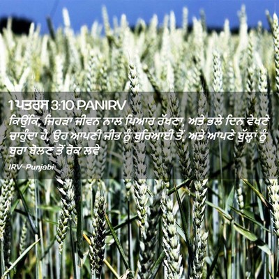 Picture 02 - 1 ਪਤਰਸ 3:10 PANIRV - ਕਿਉਂਕਿ, ਜਿਹੜਾ ਜੀਵਨ - Bible Verse Picture