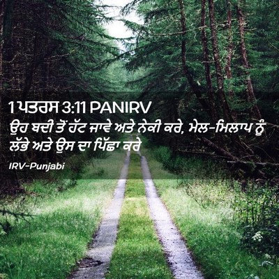 Picture 02 - 1 ਪਤਰਸ 3:11 PANIRV - ਉਹ ਬਦੀ ਤੋਂ ਹੱਟ ਜਾਵੇ - Bible Verse Picture
