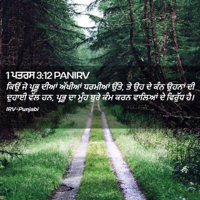 Picture 02 - 1 ਪਤਰਸ 3:12 PANIRV - ਕਿਉਂ ਜੋ ਪ੍ਰਭੂ ਦੀਆਂ - Bible Verse Picture