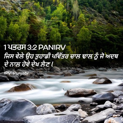 Picture 02 - 1 ਪਤਰਸ 3:2 PANIRV - ਜਿਸ ਵੇਲੇ ਉਹ ਤੁਹਾਡੀ - Bible Verse Picture