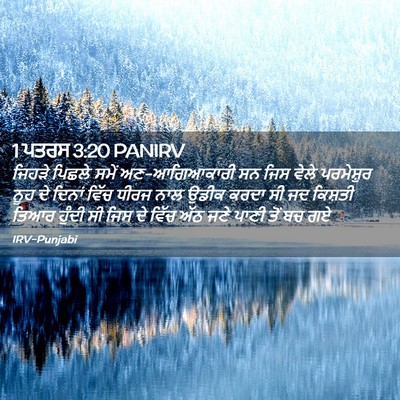 Picture 02 - 1 ਪਤਰਸ 3:20 PANIRV - ਜਿਹੜੇ ਪਿਛਲੇ ਸਮੇਂ - Bible Verse Picture