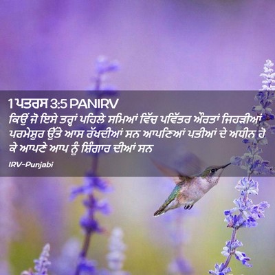 Picture 02 - 1 ਪਤਰਸ 3:5 PANIRV - ਕਿਉਂ ਜੋ ਇਸੇ ਤਰ੍ਹਾਂ - Bible Verse Picture