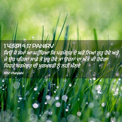 Picture 02 - 1 ਪਤਰਸ 4:17 PANIRV - ਕਿਉਂ ਜੋ ਸਮਾਂ ਆ - Bible Verse Picture
