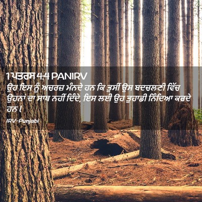 Picture 02 - 1 ਪਤਰਸ 4:4 PANIRV - ਉਹ ਇਸ ਨੂੰ ਅਚਰਜ਼ - Bible Verse Picture