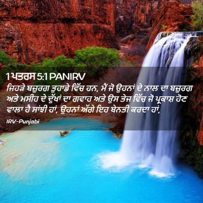 Picture 02 - 1 ਪਤਰਸ 5:1 PANIRV - ਜਿਹੜੇ ਬਜ਼ੁਰਗ - Bible Verse Picture