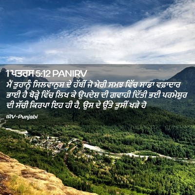 Picture 02 - 1 ਪਤਰਸ 5:12 PANIRV - ਮੈਂ ਤੁਹਾਨੂੰ - Bible Verse Picture
