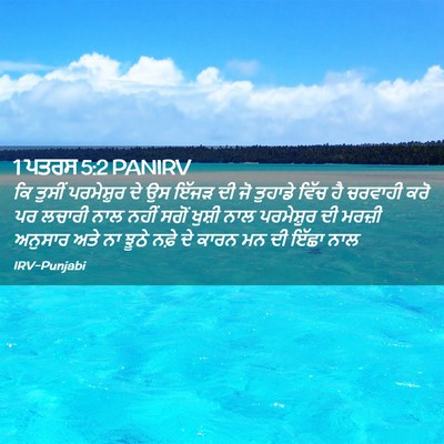Picture 02 - 1 ਪਤਰਸ 5:2 PANIRV - ਕਿ ਤੁਸੀਂ ਪਰਮੇਸ਼ੁਰ - Bible Verse Picture