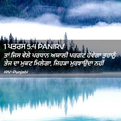 Picture 02 - 1 ਪਤਰਸ 5:4 PANIRV - ਤਾਂ ਜਿਸ ਵੇਲੇ ਪਰਧਾਨ - Bible Verse Picture