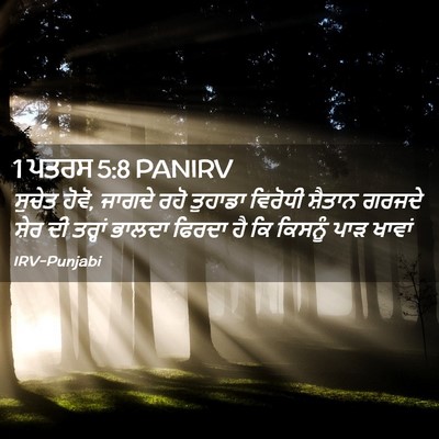 Picture 02 - 1 ਪਤਰਸ 5:8 PANIRV - ਸੁਚੇਤ ਹੋਵੋ, ਜਾਗਦੇ - Bible Verse Picture