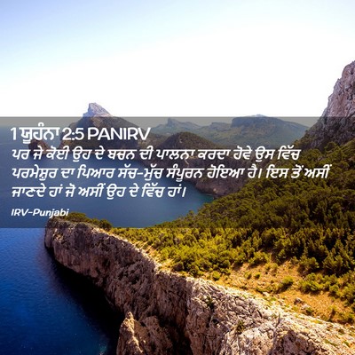 Picture 02 - 1 ਯੂਹੰਨਾ 2:5 PANIRV - ਪਰ ਜੇ ਕੋਈ ਉਹ ਦੇ ਬਚਨ - Bible Verse Picture