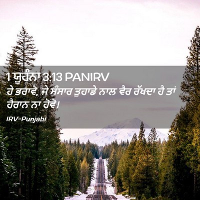 Picture 02 - 1 ਯੂਹੰਨਾ 3:13 PANIRV - ਹੇ ਭਰਾਵੋ, ਜੇ ਸੰਸਾਰ - Bible Verse Picture
