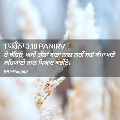 Picture 02 - 1 ਯੂਹੰਨਾ 3:18 PANIRV - ਹੇ ਬੱਚਿਓ, ਅਸੀਂ - Bible Verse Picture