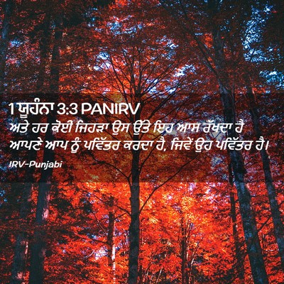 Picture 02 - 1 ਯੂਹੰਨਾ 3:3 PANIRV - ਅਤੇ ਹਰ ਕੋਈ ਜਿਹੜਾ ਉਸ - Bible Verse Picture