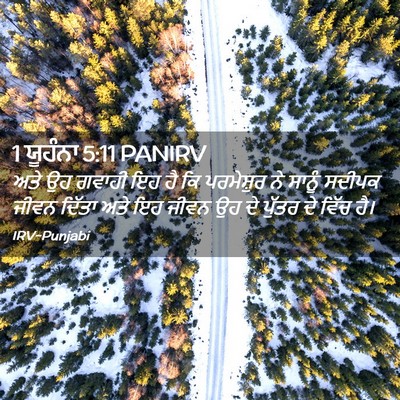 Picture 02 - 1 ਯੂਹੰਨਾ 5:11 PANIRV - ਅਤੇ ਉਹ ਗਵਾਹੀ ਇਹ ਹੈ - Bible Verse Picture