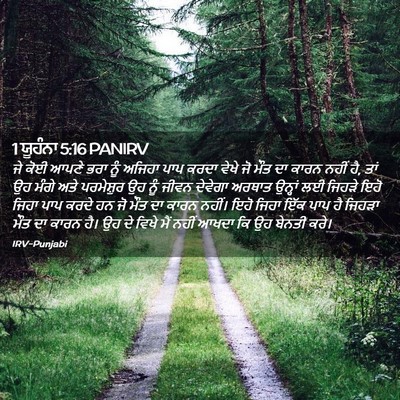 Picture 02 - 1 ਯੂਹੰਨਾ 5:16 PANIRV - ਜੇ ਕੋਈ ਆਪਣੇ ਭਰਾ ਨੂੰ - Bible Verse Picture