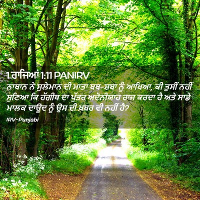 Picture 02 - 1 ਰਾਜਿਆਂ 1:11 PANIRV - ਨਾਥਾਨ ਨੇ ਸੁਲੇਮਾਨ - Bible Verse Picture
