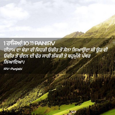 Picture 02 - 1 ਰਾਜਿਆਂ 10:11 PANIRV - ਹੀਰਾਮ ਦਾ ਬੇੜਾ ਵੀ - Bible Verse Picture