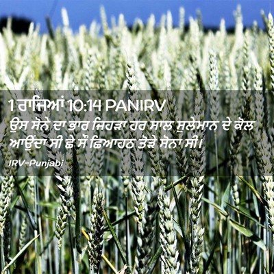 Picture 02 - 1 ਰਾਜਿਆਂ 10:14 PANIRV - ਉਸ ਸੋਨੇ ਦਾ ਭਾਰ - Bible Verse Picture