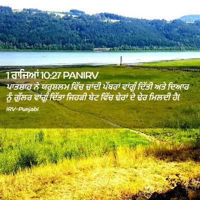 Picture 02 - 1 ਰਾਜਿਆਂ 10:27 PANIRV - ਪਾਤਸ਼ਾਹ ਨੇ - Bible Verse Picture