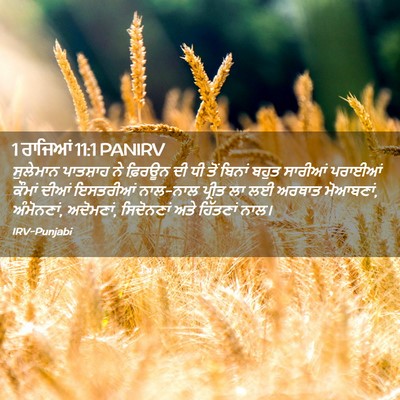 Picture 02 - 1 ਰਾਜਿਆਂ 11:1 PANIRV - ਸੁਲੇਮਾਨ ਪਾਤਸ਼ਾਹ - Bible Verse Picture