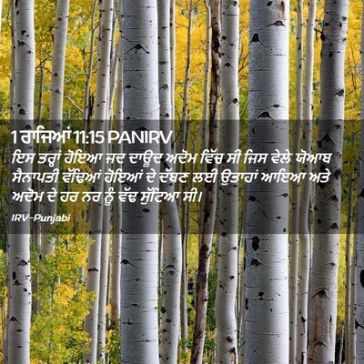 Picture 02 - 1 ਰਾਜਿਆਂ 11:15 PANIRV - ਇਸ ਤਰ੍ਹਾਂ ਹੋਇਆ ਜਦ - Bible Verse Picture