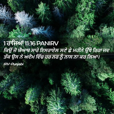 Picture 02 - 1 ਰਾਜਿਆਂ 11:16 PANIRV - ਕਿਉਂ ਜੋ ਯੋਆਬ ਸਾਰੇ - Bible Verse Picture