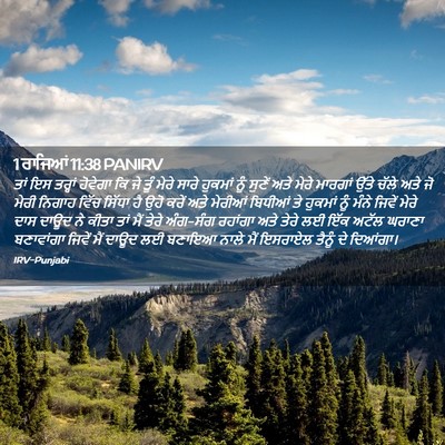 Picture 02 - 1 ਰਾਜਿਆਂ 11:38 PANIRV - ਤਾਂ ਇਸ ਤਰ੍ਹਾਂ - Bible Verse Picture