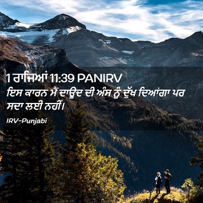 Picture 02 - 1 ਰਾਜਿਆਂ 11:39 PANIRV - ਇਸ ਕਾਰਨ ਮੈਂ ਦਾਊਦ ਦੀ - Bible Verse Picture