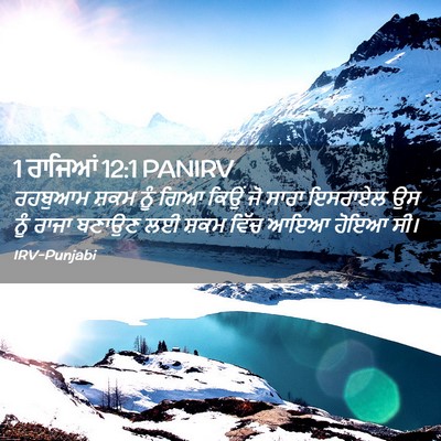 Picture 02 - 1 ਰਾਜਿਆਂ 12:1 PANIRV - ਰਹਬੁਆਮ ਸ਼ਕਮ ਨੂੰ - Bible Verse Picture