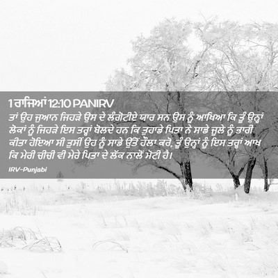 Picture 02 - 1 ਰਾਜਿਆਂ 12:10 PANIRV - ਤਾਂ ਉਹ ਜੁਆਨ ਜਿਹੜੇ - Bible Verse Picture
