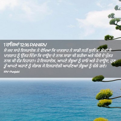 Picture 02 - 1 ਰਾਜਿਆਂ 12:16 PANIRV - ਸੋ ਜਦ ਸਾਰੇ ਇਸਰਾਏਲ - Bible Verse Picture