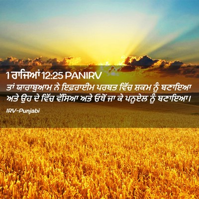 Picture 02 - 1 ਰਾਜਿਆਂ 12:25 PANIRV - ਤਾਂ ਯਾਰਾਬੁਆਮ ਨੇ - Bible Verse Picture