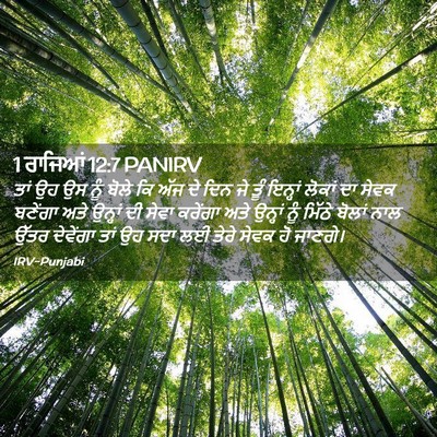 Picture 02 - 1 ਰਾਜਿਆਂ 12:7 PANIRV - ਤਾਂ ਉਹ ਉਸ ਨੂੰ ਬੋਲੇ - Bible Verse Picture