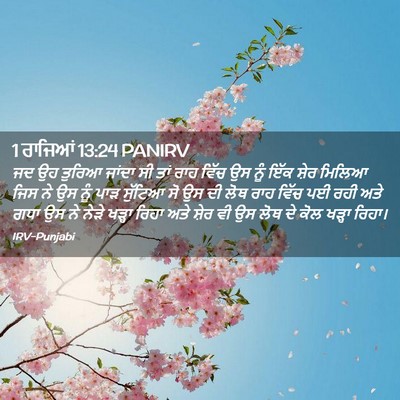 Picture 02 - 1 ਰਾਜਿਆਂ 13:24 PANIRV - ਜਦ ਉਹ ਤੁਰਿਆ ਜਾਂਦਾ - Bible Verse Picture