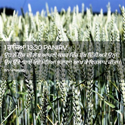 Picture 02 - 1 ਰਾਜਿਆਂ 13:30 PANIRV - ਉਹ ਨੇ ਉਸ ਦੀ ਲੋਥ - Bible Verse Picture