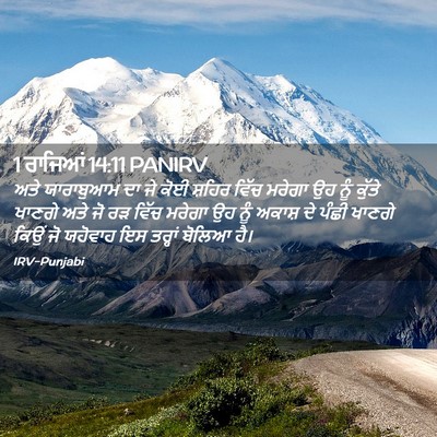 Picture 02 - 1 ਰਾਜਿਆਂ 14:11 PANIRV - ਅਤੇ ਯਾਰਾਬੁਆਮ ਦਾ ਜੇ - Bible Verse Picture