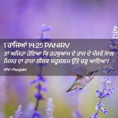 Picture 02 - 1 ਰਾਜਿਆਂ 14:25 PANIRV - ਤਾਂ ਅਜਿਹਾ ਹੋਇਆ ਕਿ - Bible Verse Picture