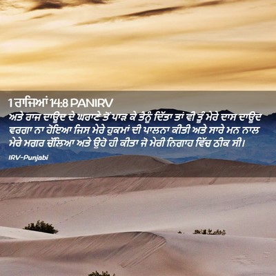 Picture 02 - 1 ਰਾਜਿਆਂ 14:8 PANIRV - ਅਤੇ ਰਾਜ ਦਾਊਦ ਦੇ - Bible Verse Picture