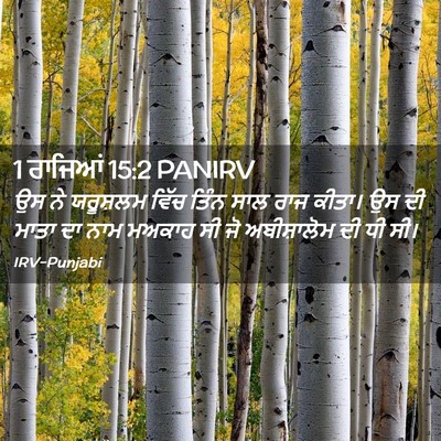 Picture 02 - 1 ਰਾਜਿਆਂ 15:2 PANIRV - ਉਸ ਨੇ ਯਰੂਸ਼ਲਮ ਵਿੱਚ - Bible Verse Picture