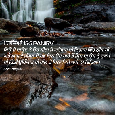 Picture 02 - 1 ਰਾਜਿਆਂ 15:5 PANIRV - ਕਿਉਂ ਜੋ ਦਾਊਦ ਨੇ ਉਹ - Bible Verse Picture