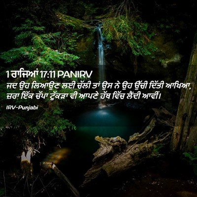 Picture 02 - 1 ਰਾਜਿਆਂ 17:11 PANIRV - ਜਦ ਉਹ ਲਿਆਉਣ ਲਈ ਚੱਲੀ - Bible Verse Picture